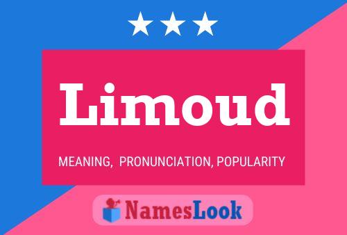 Limoud Name Poster