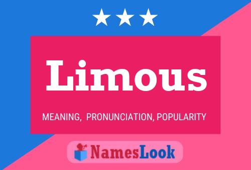 Limous Name Poster