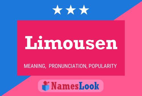 Limousen Name Poster