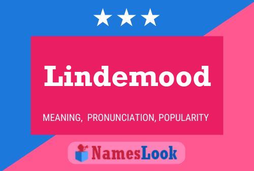 Lindemood Name Poster