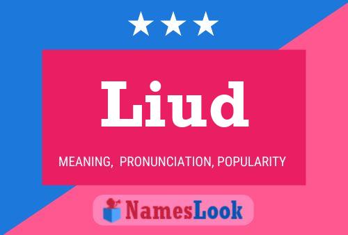 Liud Name Poster