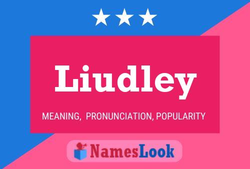 Liudley Name Poster