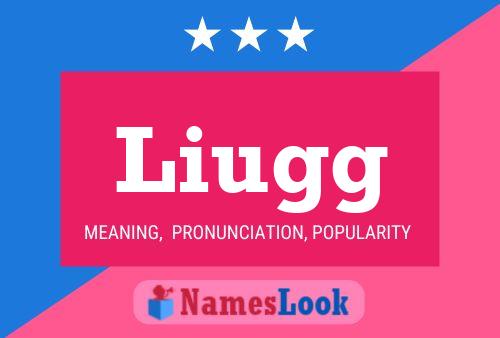 Liugg Name Poster