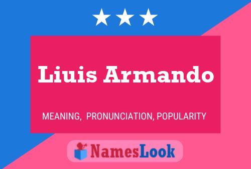 Liuis Armando Name Poster