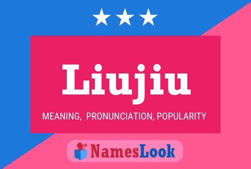 Liujiu Name Poster