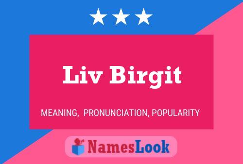 Liv Birgit Name Poster