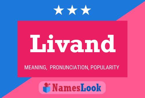 Livand Name Poster