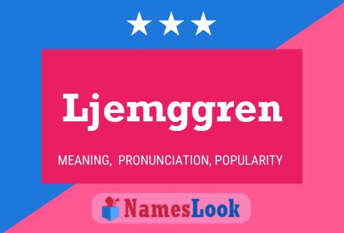 Ljemggren Name Poster