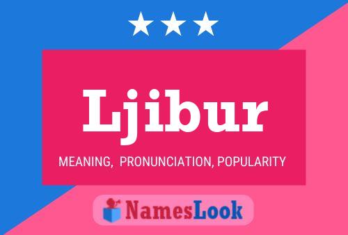 Ljibur Name Poster