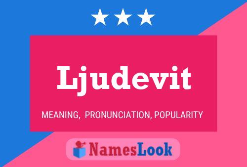 Ljudevit Name Poster