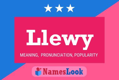 Llewy Name Poster