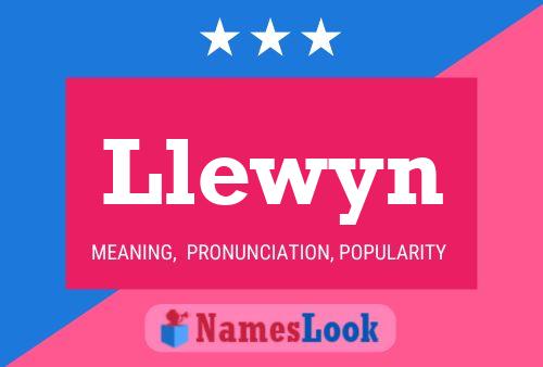 Llewyn Name Poster