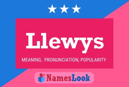 Llewys Name Poster