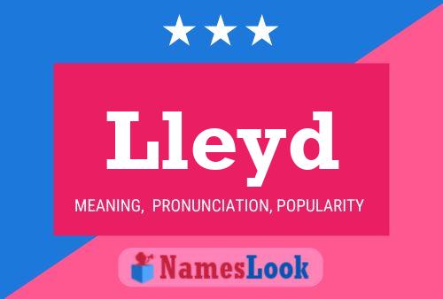 Lleyd Name Poster