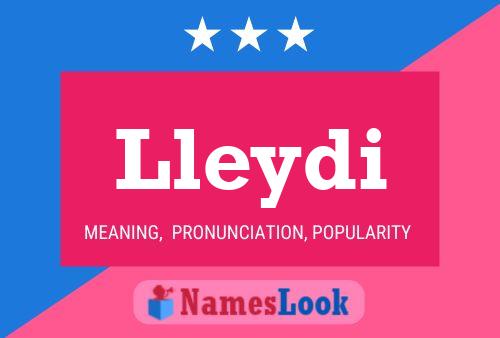 Lleydi Name Poster