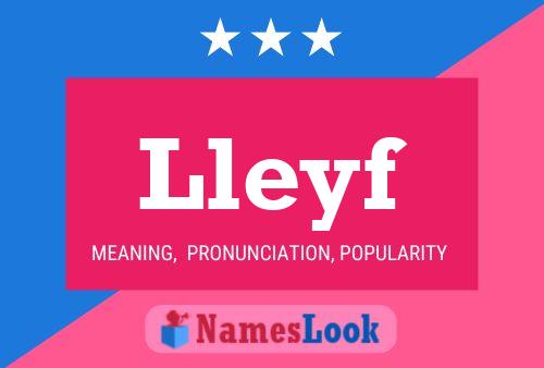 Lleyf Name Poster