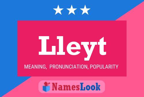 Lleyt Name Poster