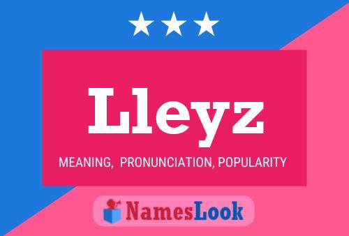 Lleyz Name Poster