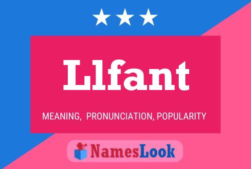 Llfant Name Poster