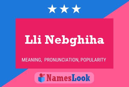 Lli Nebghiha Name Poster