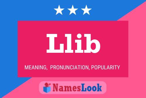 Llib Name Poster