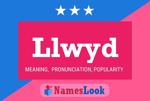 Llwyd Name Poster