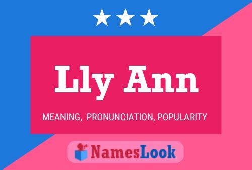 Lly Ann Name Poster