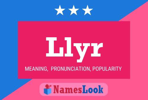 Llyr Name Poster