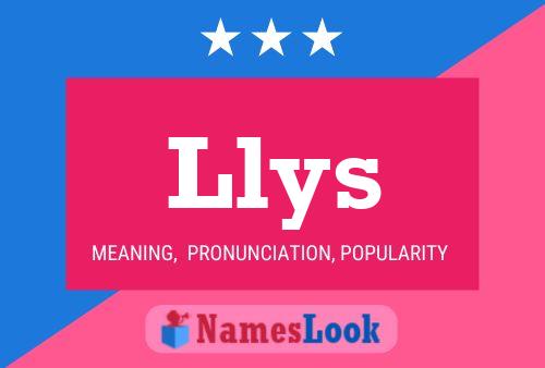 Llys Name Poster