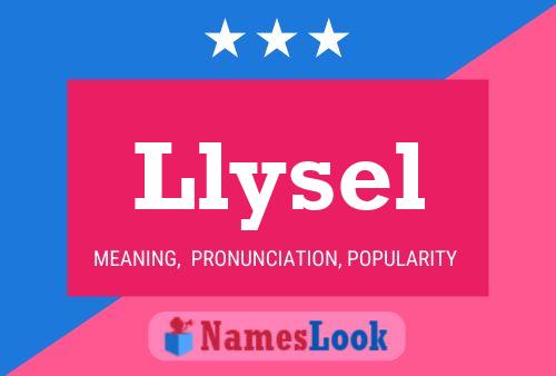 Llysel Name Poster