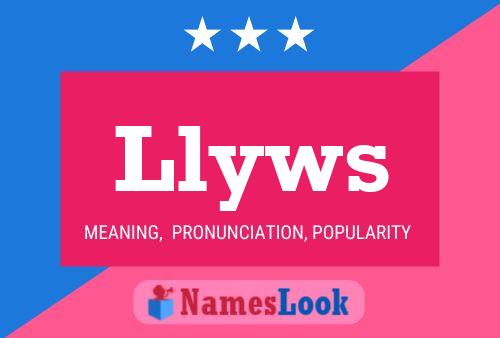 Llyws Name Poster