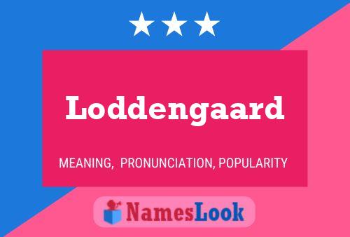 Loddengaard Name Poster