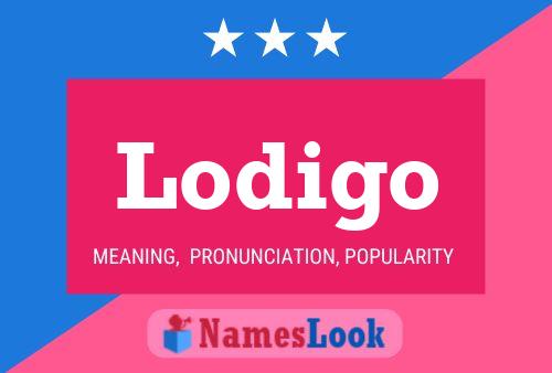 Lodigo Name Poster