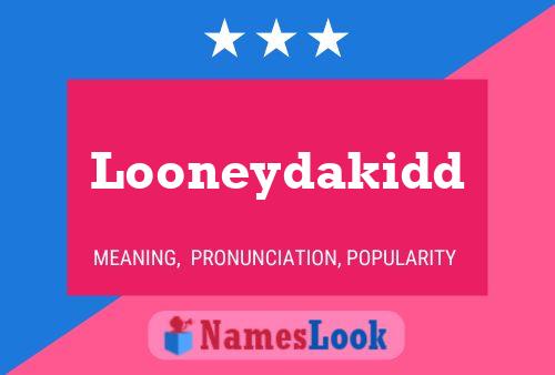 Looneydakidd Name Poster