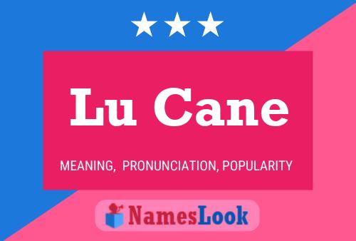 Lu Cane Name Poster