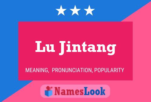 Lu Jintang Name Poster