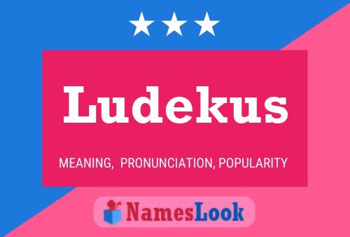 Ludekus Name Poster