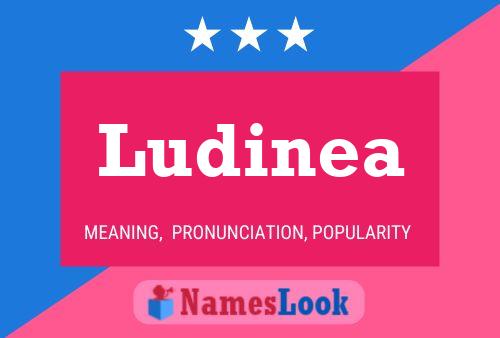 Ludinea Name Poster