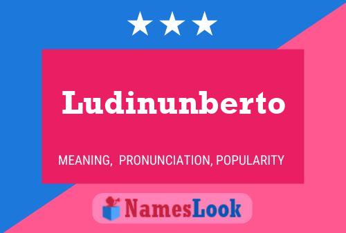 Ludinunberto Name Poster