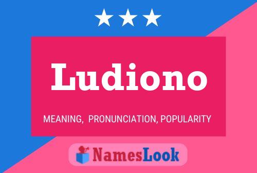 Ludiono Name Poster