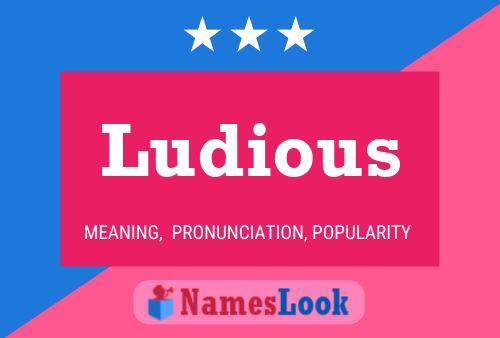 Ludious Name Poster