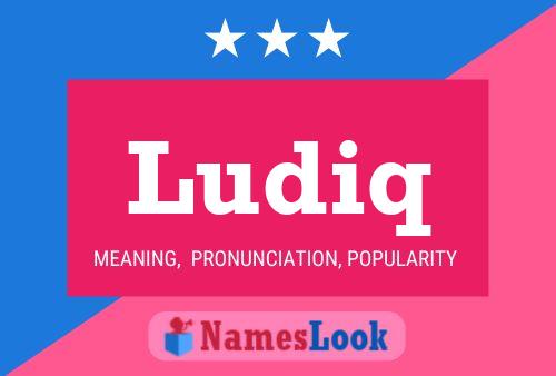 Ludiq Name Poster