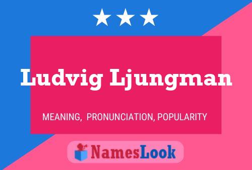 Ludvig Ljungman Name Poster