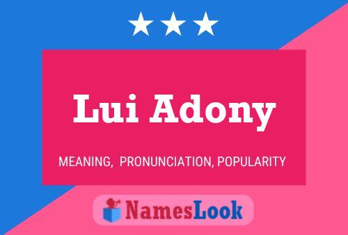 Lui Adony Name Poster