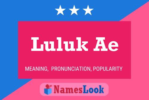 Luluk Ae Name Poster