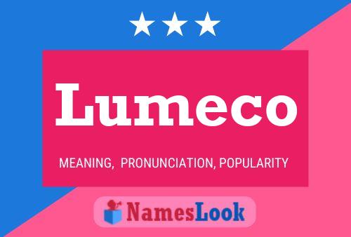 Lumeco Name Poster