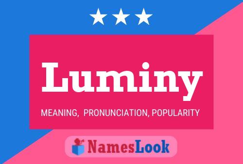 Luminy Name Poster