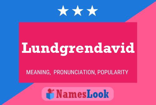 Lundgrendavid Name Poster