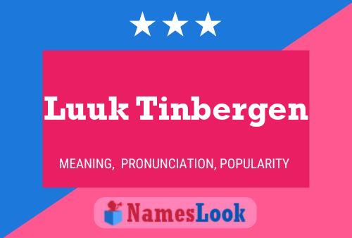 Luuk Tinbergen Name Poster