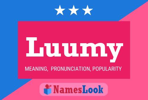 Luumy Name Poster